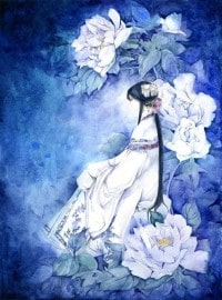 娘子,请多指教