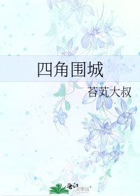 四角围城